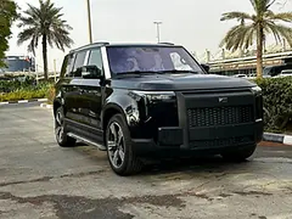 2025 Rox 01 for Rent in Port Saeed photo 4