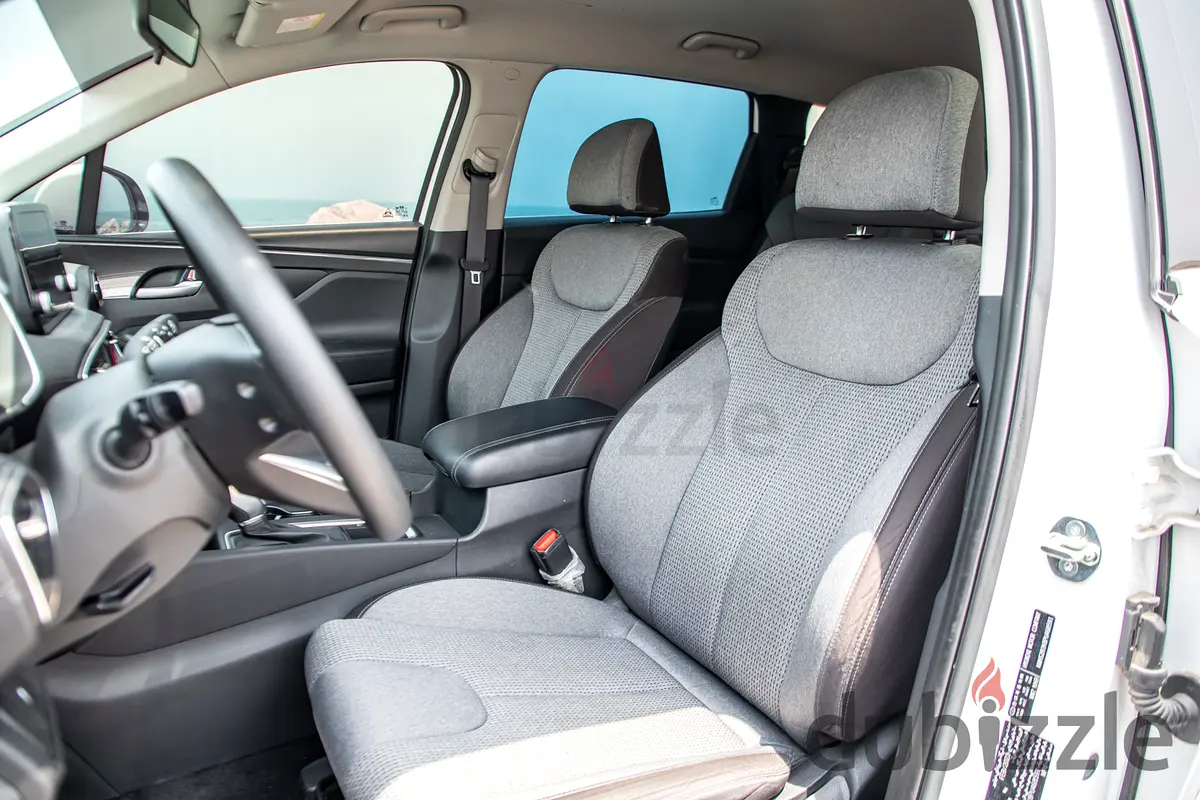 Rent 2023 Hyundai Santa Fe in Port Saeed photo 10