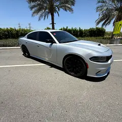 2023 Dodge Charger for Rent in Al Quoz 4 | Free Delivery in Al Quoz 4 photo 5