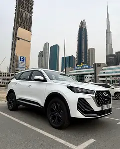 Free delivery Dubai. 3000 km per month.BRAND NEW photo 3